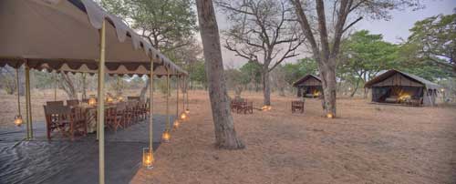Chobe Under Canvas - Botswana