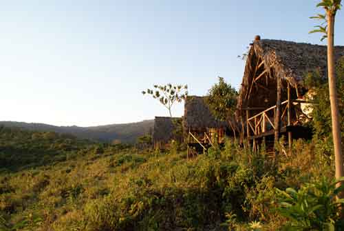 Crater Forest Camp - Ngorongoro Tanzania