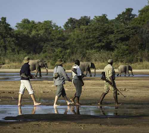 Chindeni Bushcamp - South Luangwa Zambia