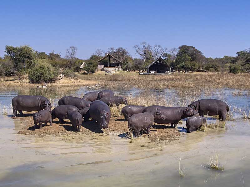 Konkamoya Lodge - Kafue Zambia