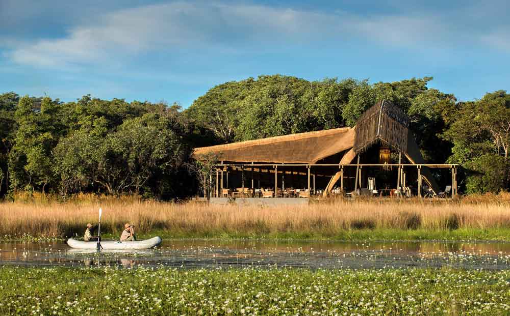 King Lewanika - Liuwa Plain Zambia
