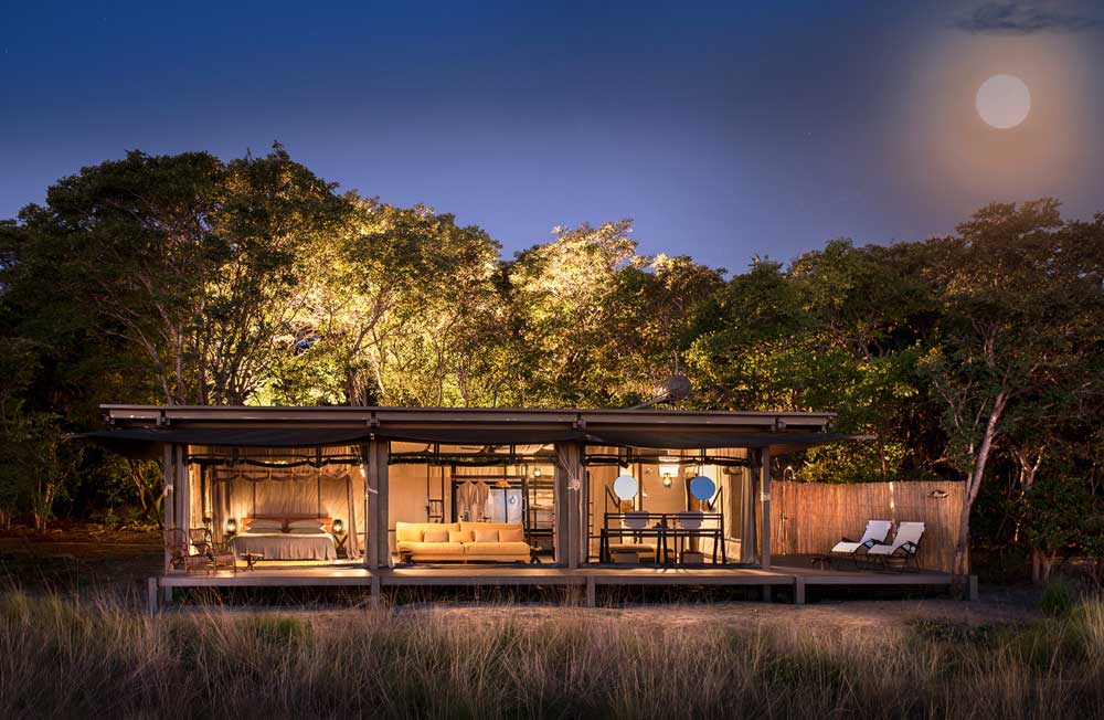 King Lewanika - Liuwa Plain Zambia