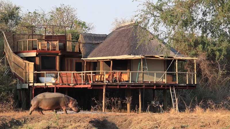 Lion Camp - South Luangwa Zambia