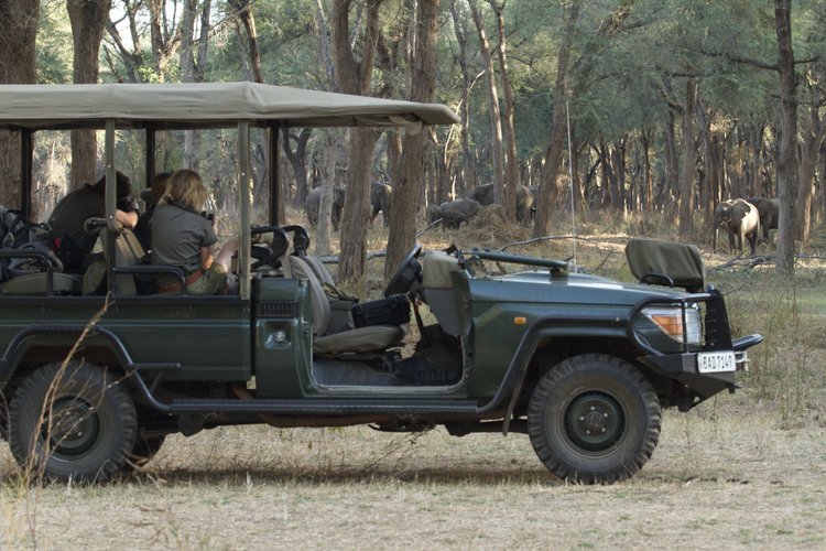 Tusk & Mane Camp  - Lower Zambezi Zambia