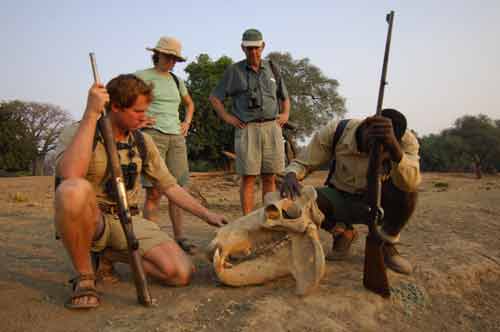 Chitake trail - Mana Pools Zimbabwe