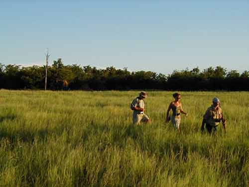 priv� safari lake cruise - kariba Zimbabwe