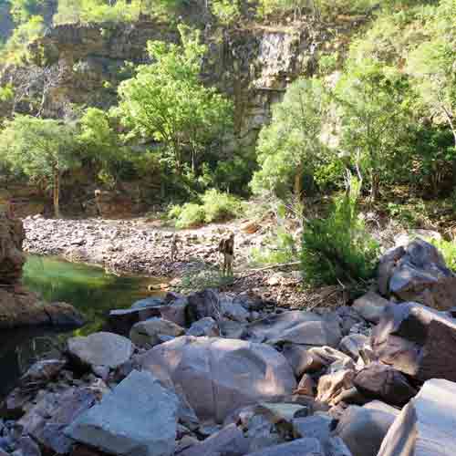Wandelsafari Leon Varley - Chizarira Zimbabwe