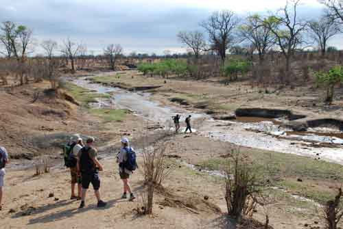 Leon Varley wandelsafari's - Hwange Zimbabwe