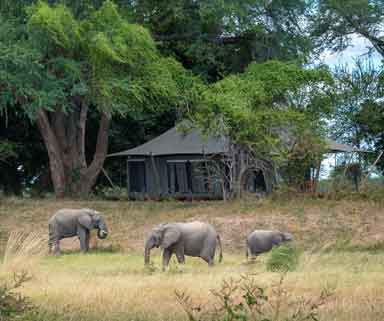 Ruckomechi - Mana Pools Zimbabwe