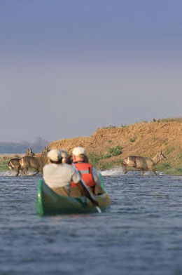 Zambezi Expeditions - Mana Pools Zimbabwe