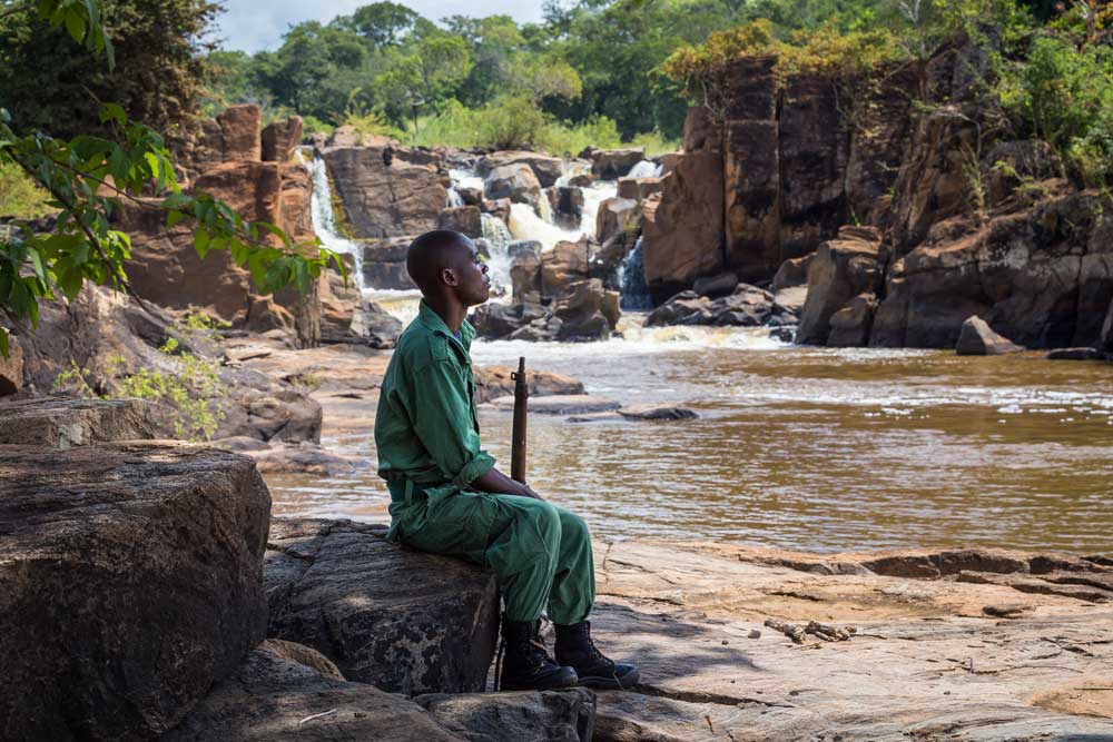 Nkhotakota Game Reserve Nkhotakota Game Reserve Malawi