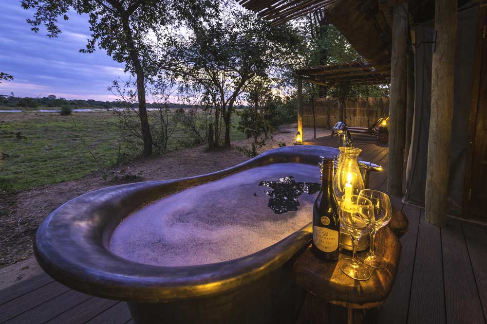 South Luangwa National Park Zambia