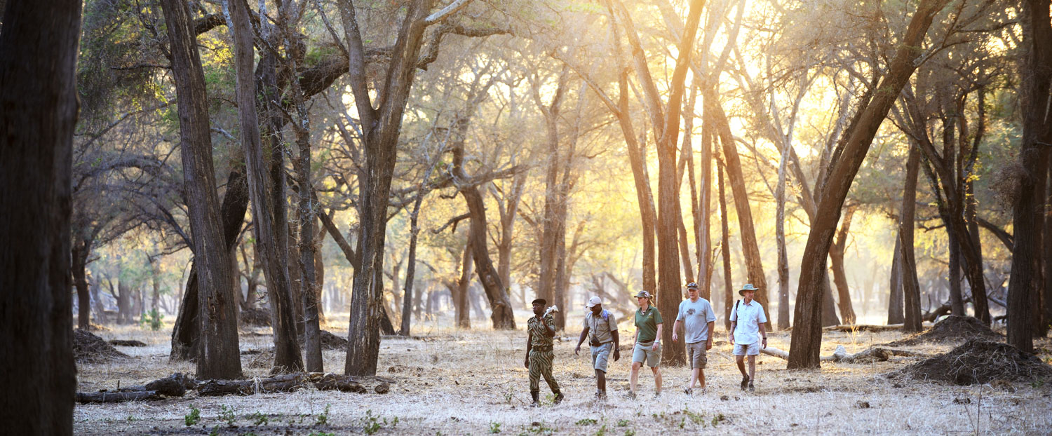 Lower Zambezi National Park Zambia