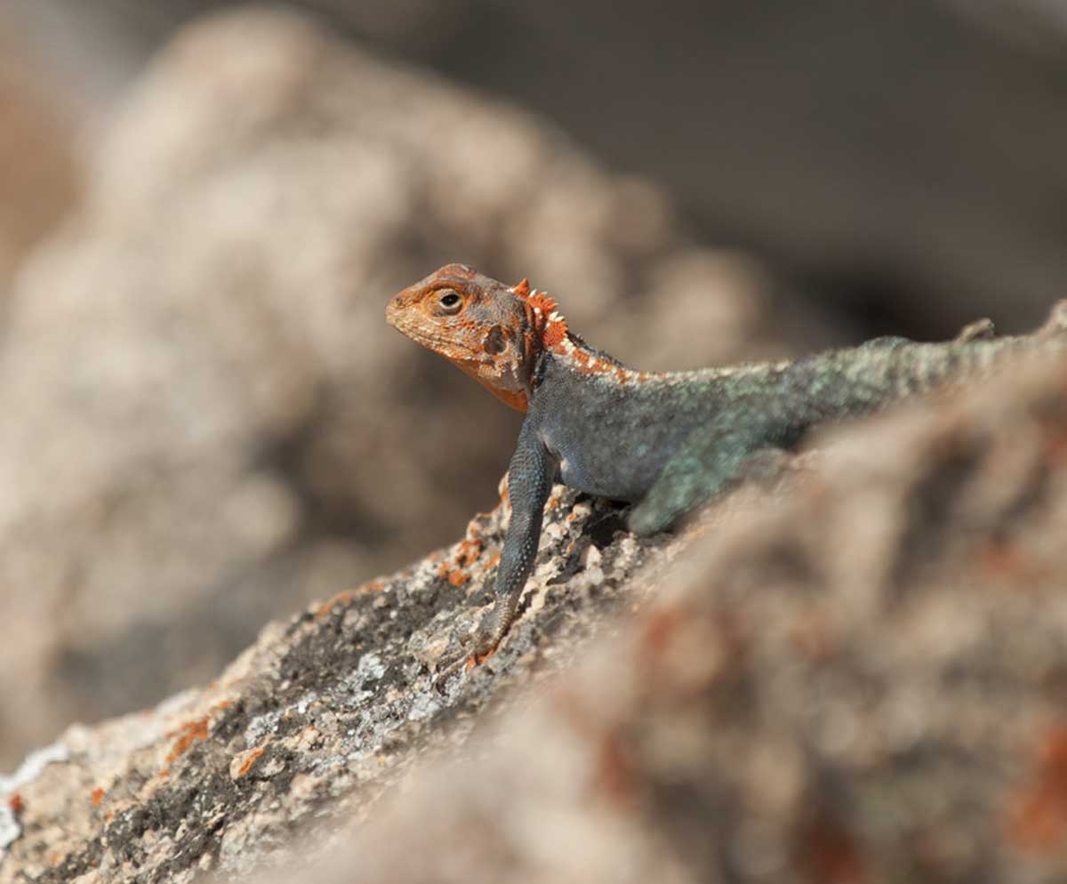 Matobo Hills Zimbabwe