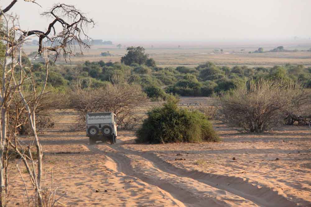 Chobe National Park Botswana