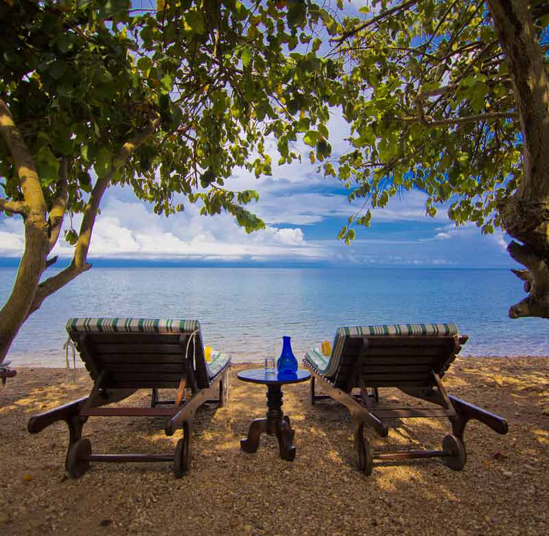 Gombe Stream - Chimpansee Trekking Tanzania