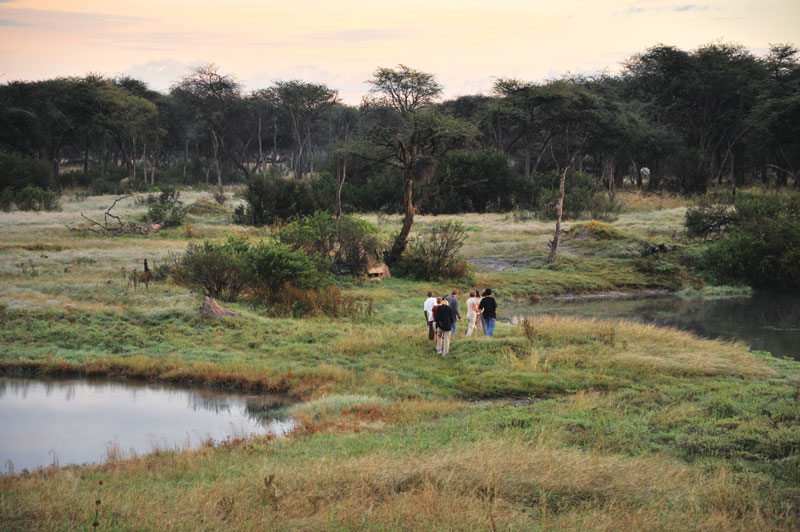 Game drive in Hwange National Park