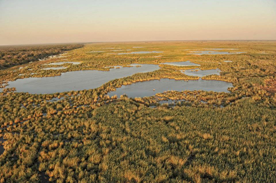 Linyanti en Savuti regio in Chobe NP 