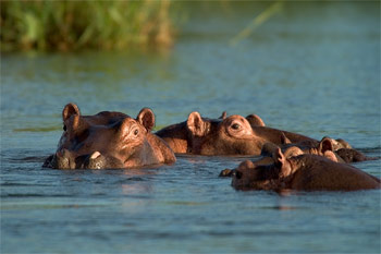 Zimbabwe Lake Kariba